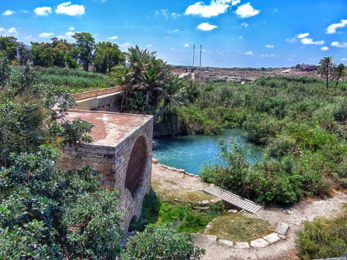 Juha'S Guesthouse - Zarqa Bay Jisr ez Zarqa Exteriér fotografie